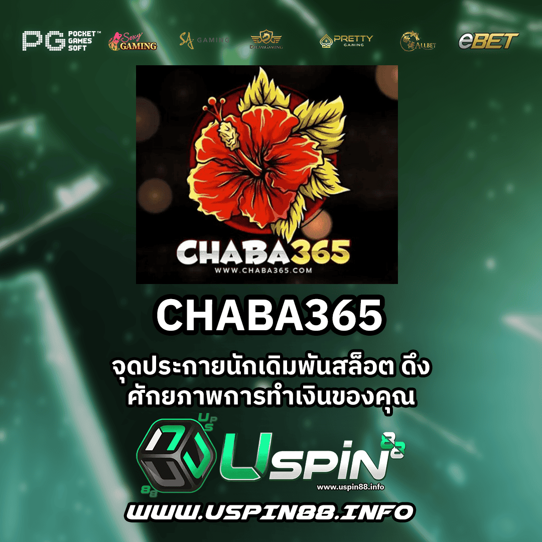 CHABA365